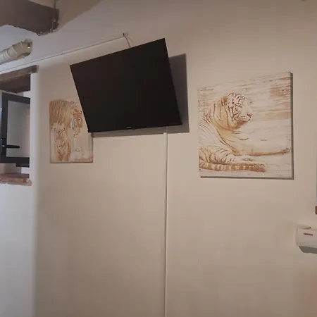 شقة Splendido Monolocale In Centro A بيرودجا
